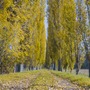 Podsumowanie Konsultacji Społecznych