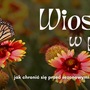 Wiosna w Pełni
