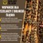 Wsparcie dla Pszczelarzy z Dolnego Śląska