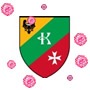 Raport o Koronawirusie