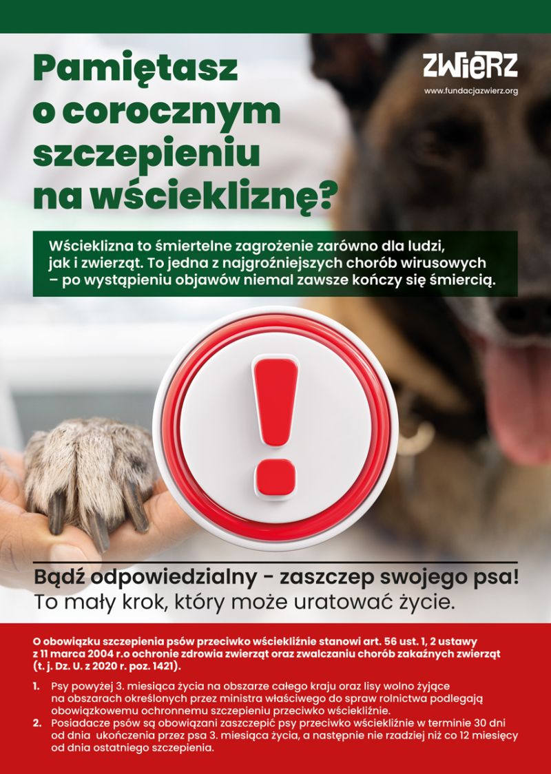 Plakat