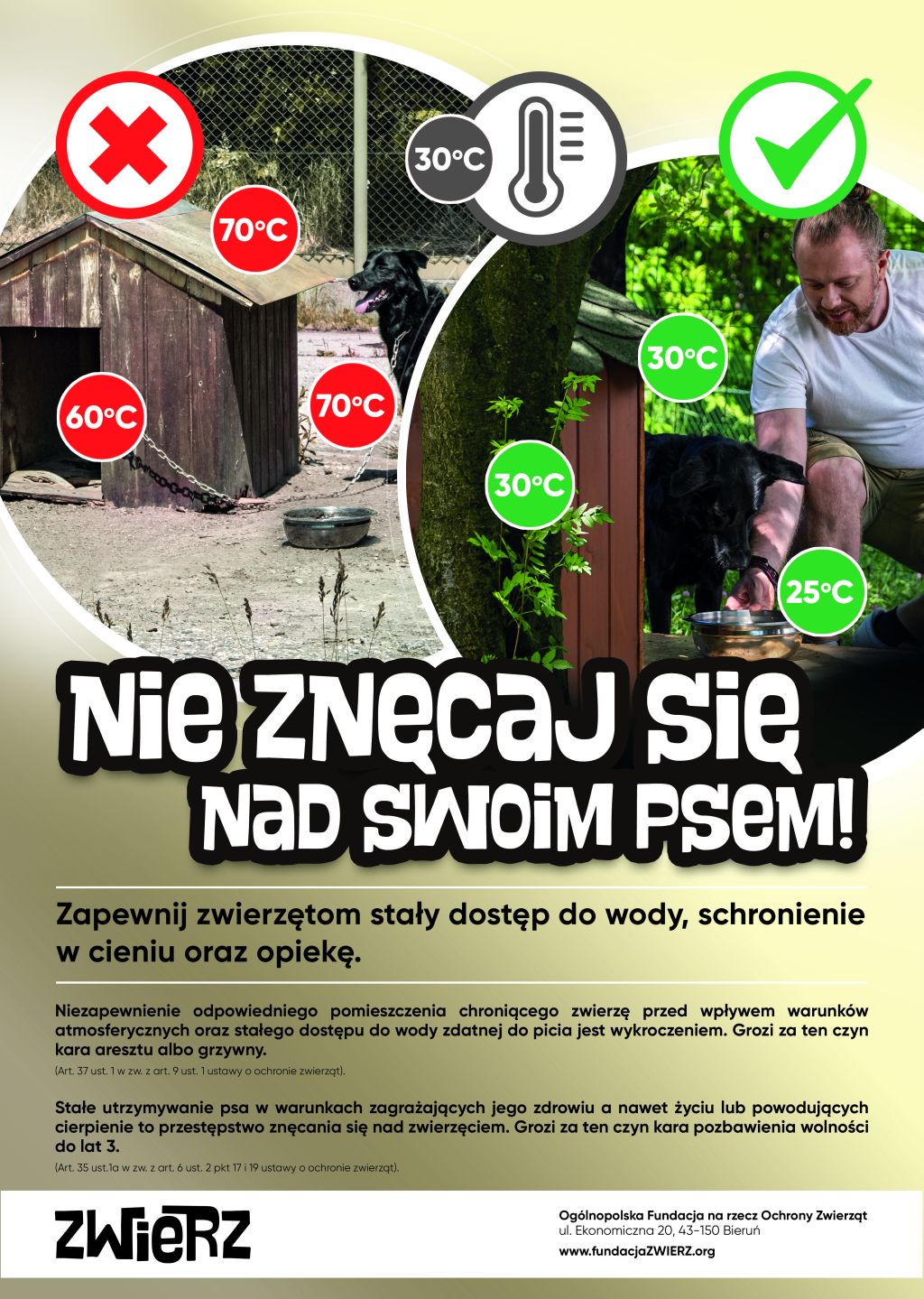 Plakat
